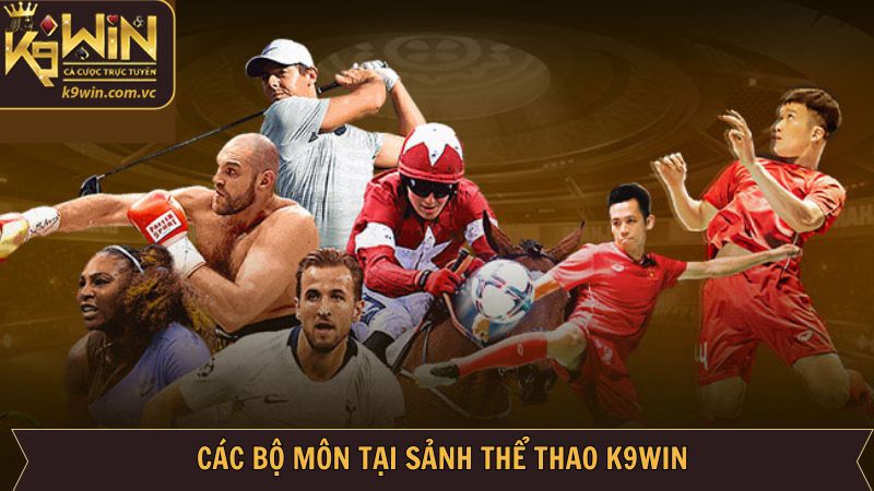 Thể Thao K9WIN - Đặt Cược Dễ Dàng, Tận Hưởng Thắng Lớn 2 Những bộ môn sport nổi bật được cung cấp tại K9WIN