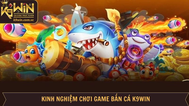 Bắn Cá K9WIN: Sảnh Giải Trí Đỉnh Cao Được Yêu Thích Nhất 3 Chia sẻ kinh nghiệm săn được nhiều cá tại K9WIN